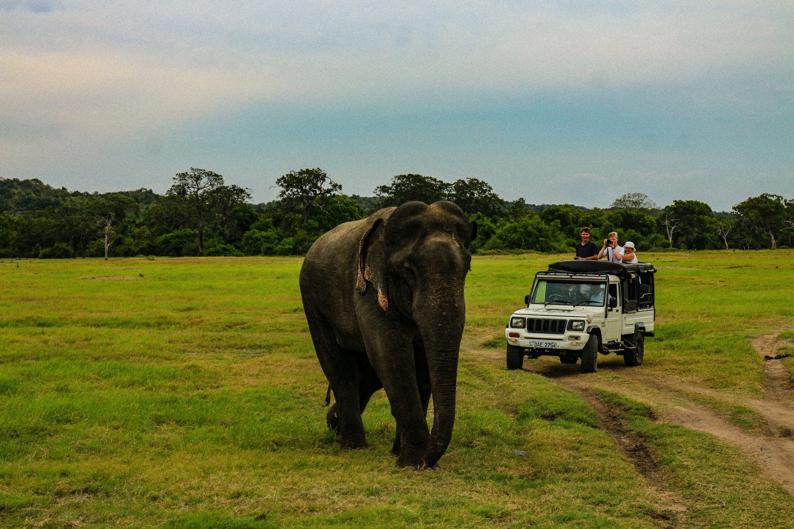 Eco Wildlife Focus tours in Sri Lanka